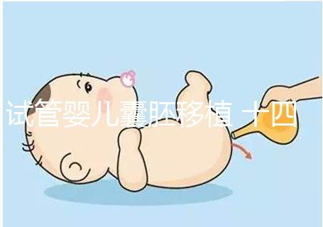 試管嬰兒囊胚移植 十四天血值變化解讀，附血值對照表可收藏