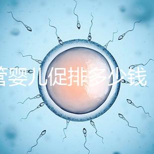 試管嬰兒促排多少錢（試管和促排哪個傷害小）