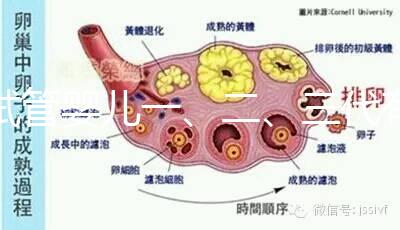 試管嬰兒一、二、三代有什么區別