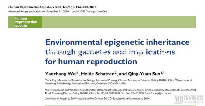 試管嬰兒需多少費用？省錢攻略建議收藏！