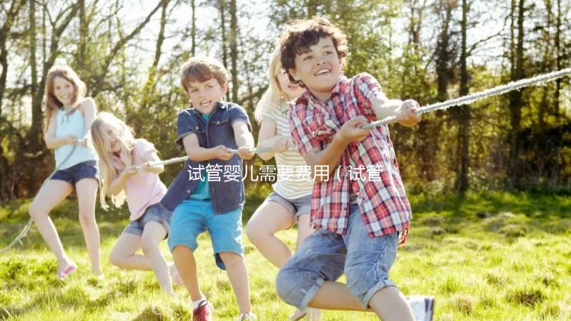 試管嬰兒需要費用(試管嬰兒需要費用多少錢)