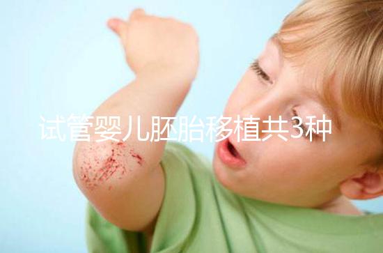 試管嬰兒胚胎移植共3種方案,成功率、技術有啥不一樣?