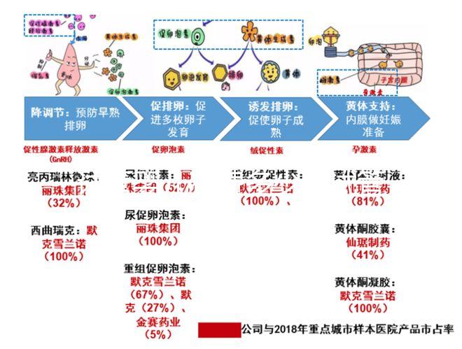 試管嬰兒花費多少（試管嬰兒花費多少錢？）