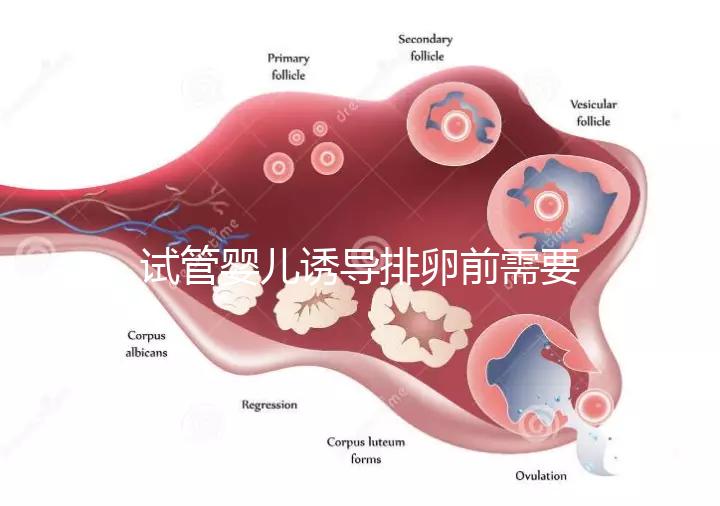試管嬰兒誘導(dǎo)排卵前需要做哪些準(zhǔn)備工作?