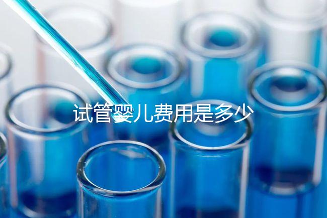 試管嬰兒費用是多少