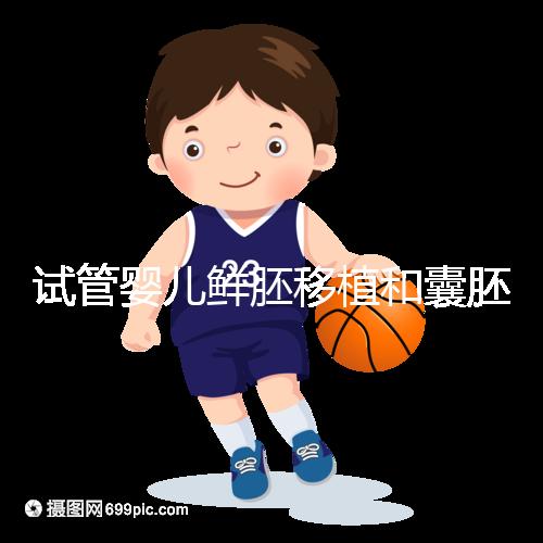 試管嬰兒鮮胚移植和囊胚移植的區(qū)別!哪個成功率高看完便知曉