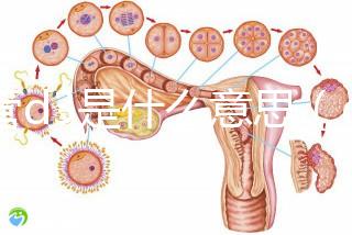 試管d3是什么意思(d3凍胚是優(yōu)胚嗎)