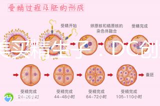 赴美買(mǎi)精生子:DC創(chuàng)始人葉海洋怒砸50萬(wàn)生下五國(guó)混血兒