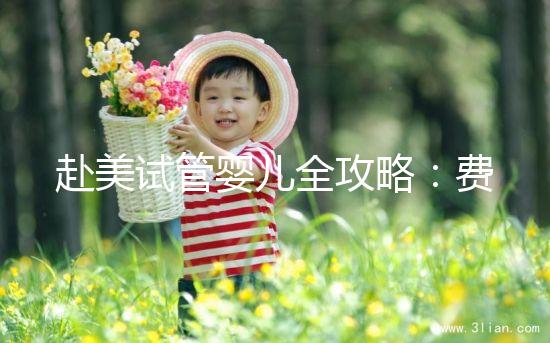 赴美試管嬰兒全攻略:費(fèi)用、流程、成功率一次看懂