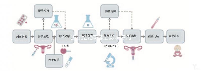 近親結(jié)婚可能會影響好幾代人，危害你真的承受不起！