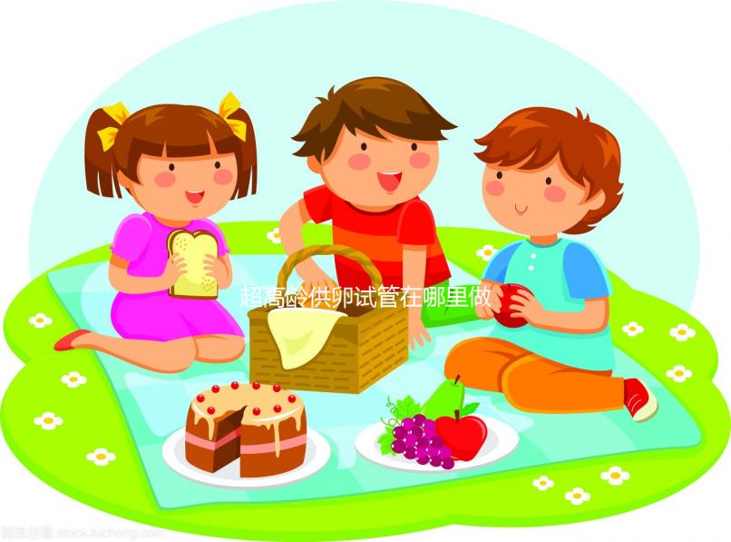 超高齡供卵試管在哪里做？泰國or馬來西亞不合法別被騙