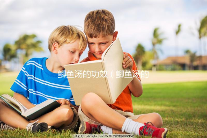 鯽魚(yú)湯的功效(鯽魚(yú)湯的功效與作用)