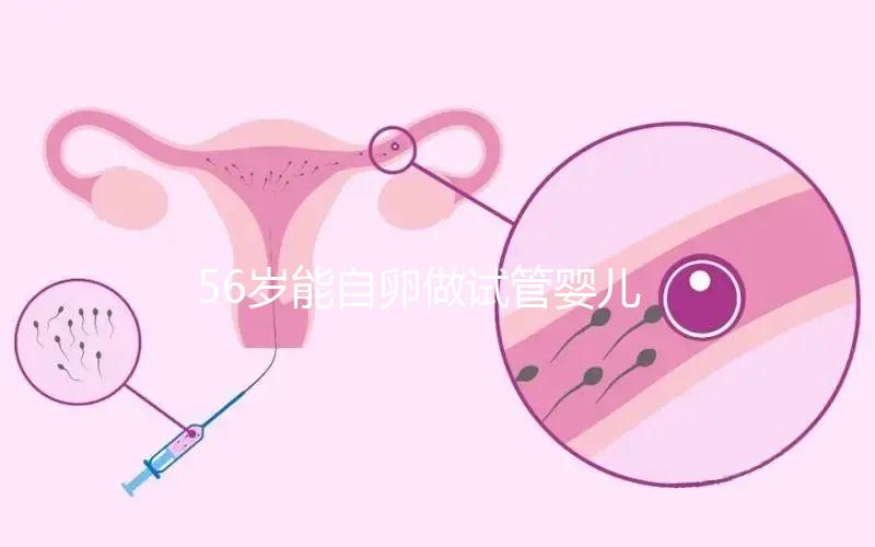 56歲能自卵做試管嬰兒嗎？“奶奶級媽媽”成功率真不高