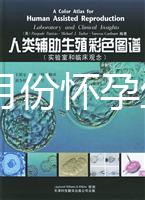 40歲幾月份懷孕生男孩?你想要的答案在生男生女清宮圖