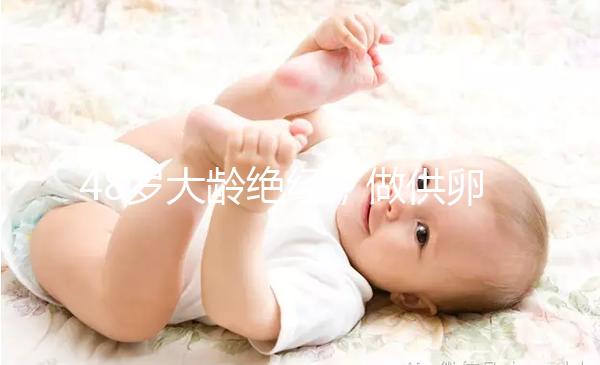 48歲大齡絕經，做供卵試管嬰兒的成功率有多高？