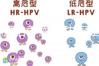 6個胚胎養囊成功率是多大答案在這,能配成3個機會就大