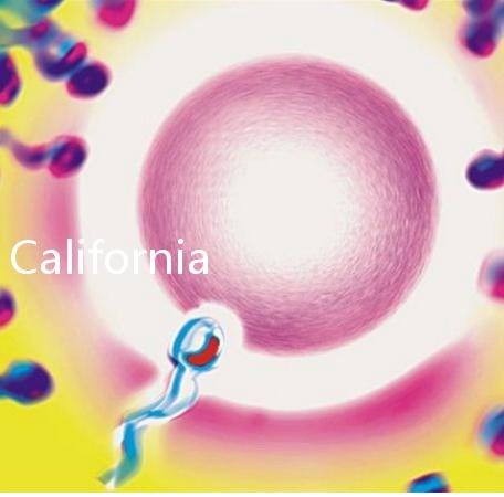 California Cryobank,加州精子銀行實用指南
