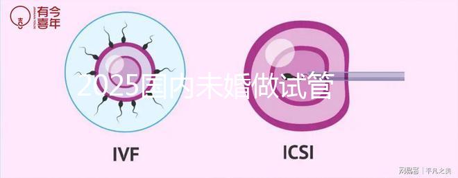 2025國內(nèi)未婚做試管嬰兒的機構(gòu)都是哪些?