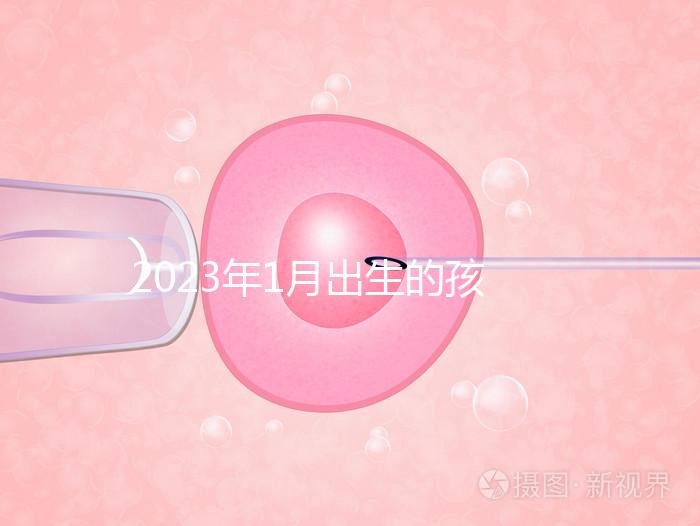 2023年1月出生的孩子取名宜忌要早知，星座、屬相均有講究